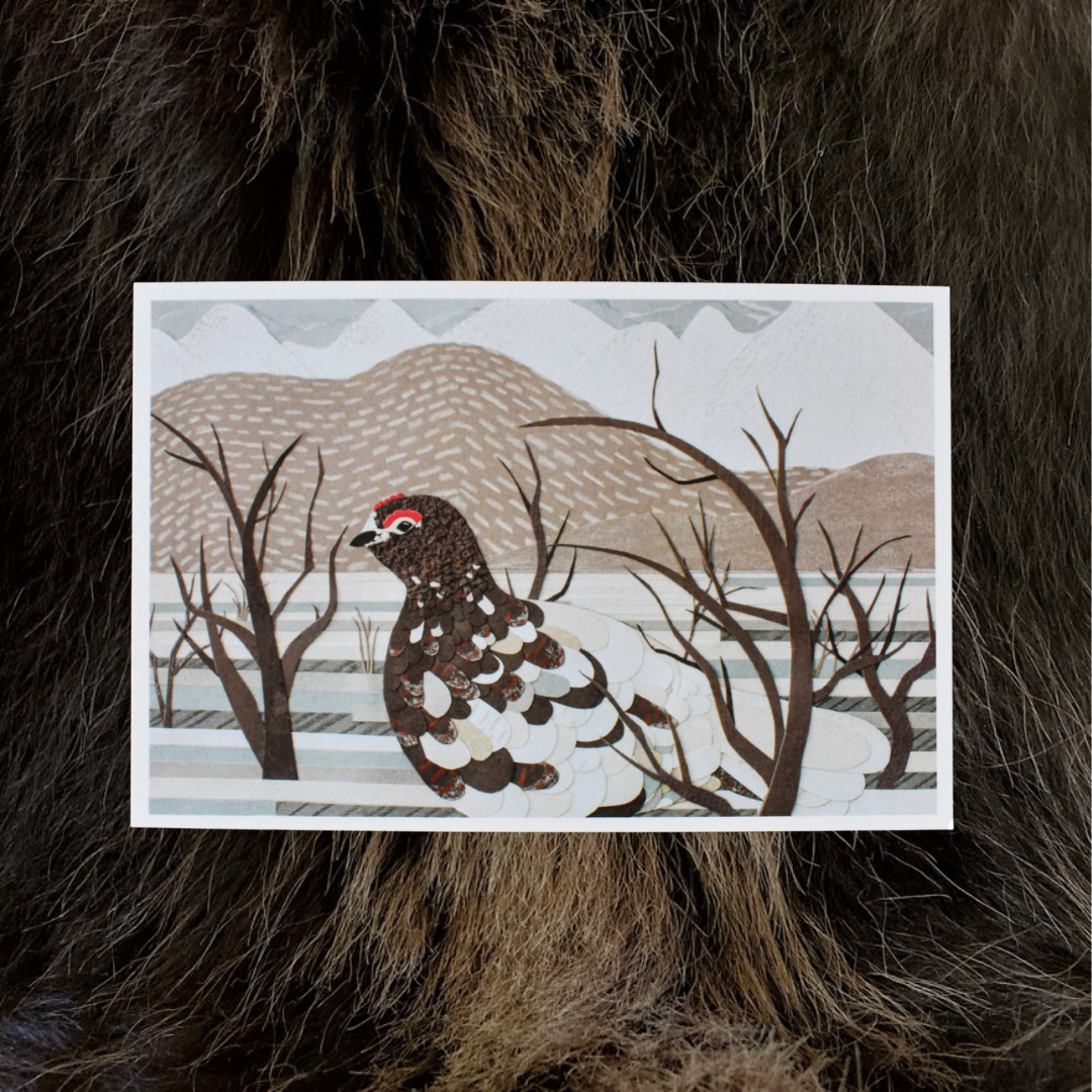 Spring Transformation (Ptarmigan) Print