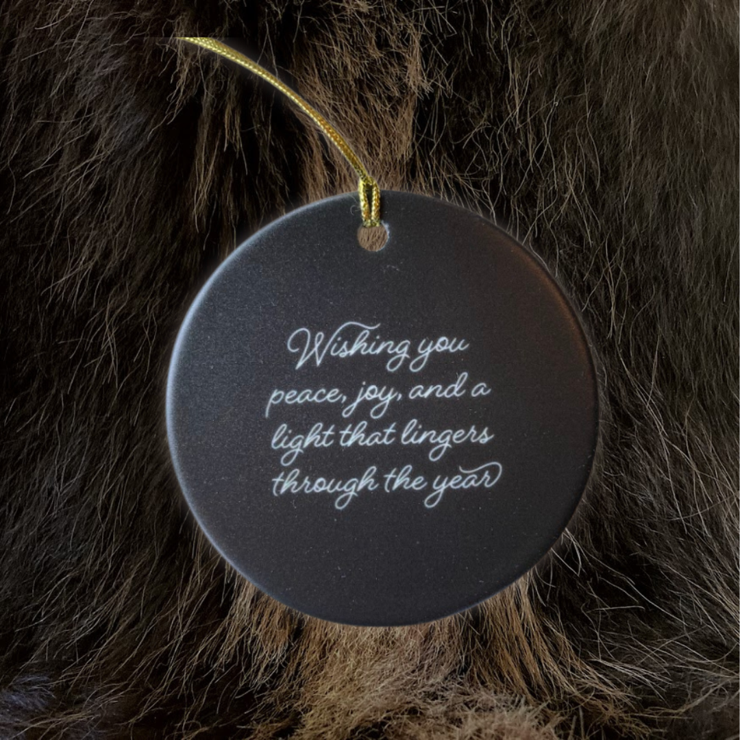 Holiday Ornament (2025)