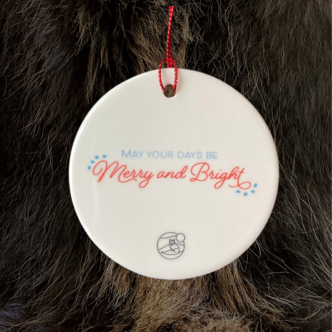 Holiday Ornament (2024)