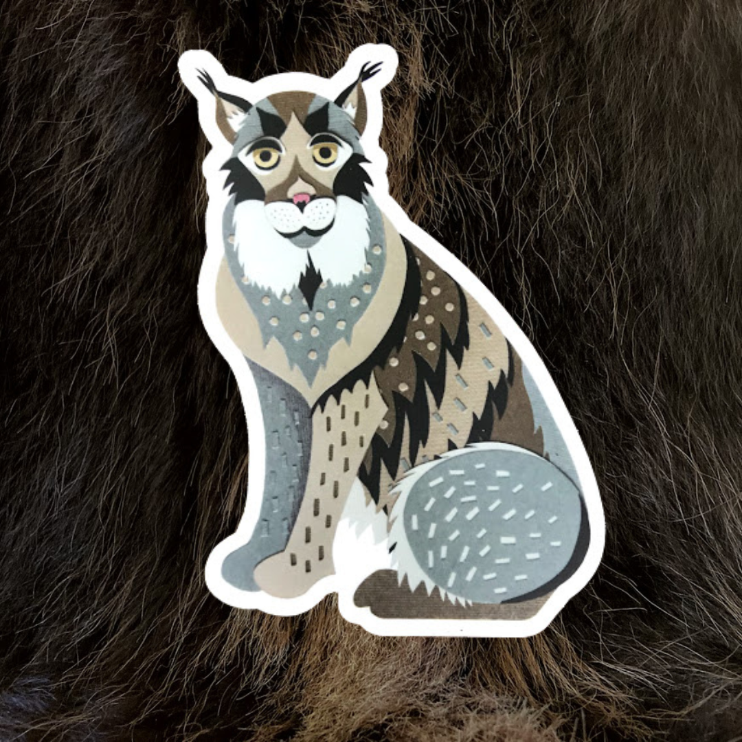 Summer Observer (Lynx) Vinyl Sticker