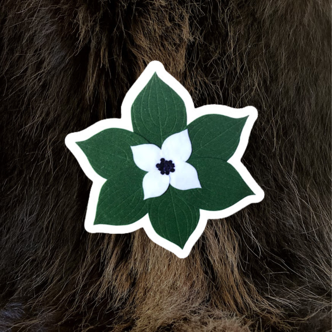 Midsummer Dogwood Vinyl Sticker