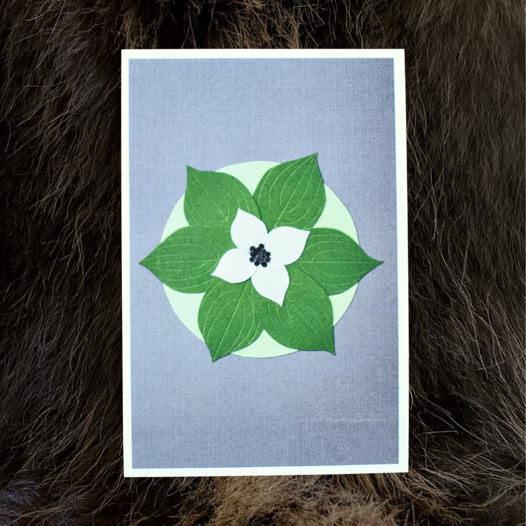 Midsummer Dogwood Print