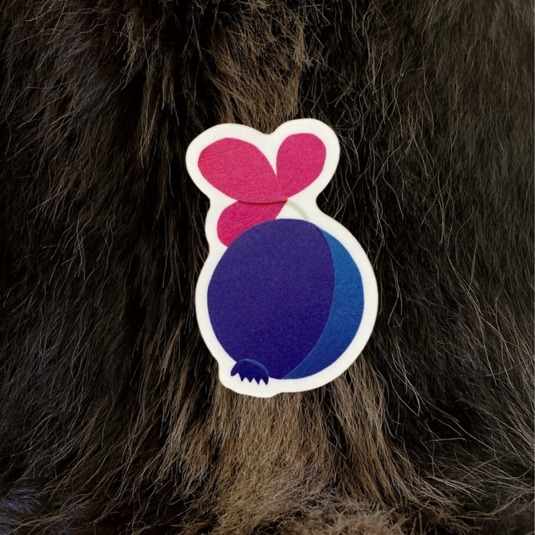 Blueberry Sticker