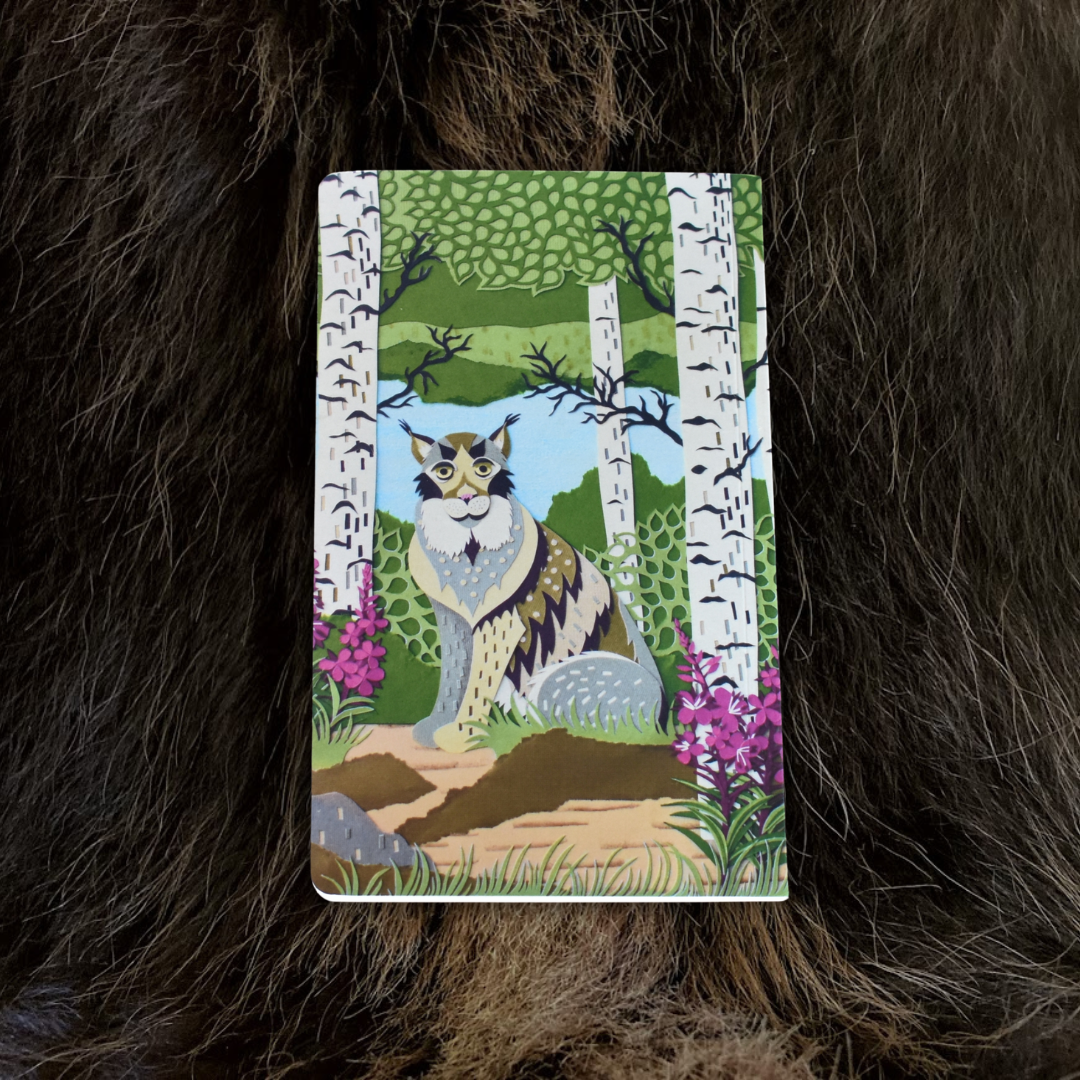 Summer Observer Notebook - Small