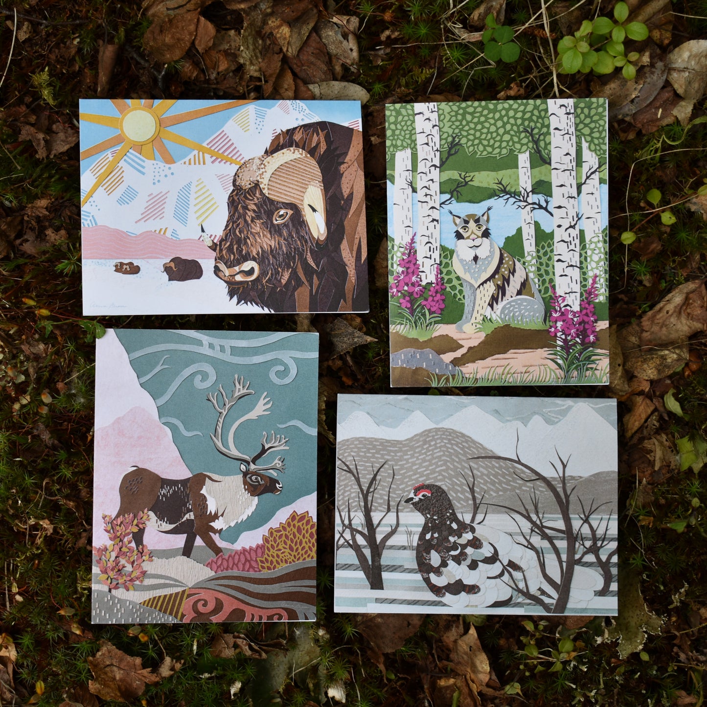 Arctic Seasons Notecard Set