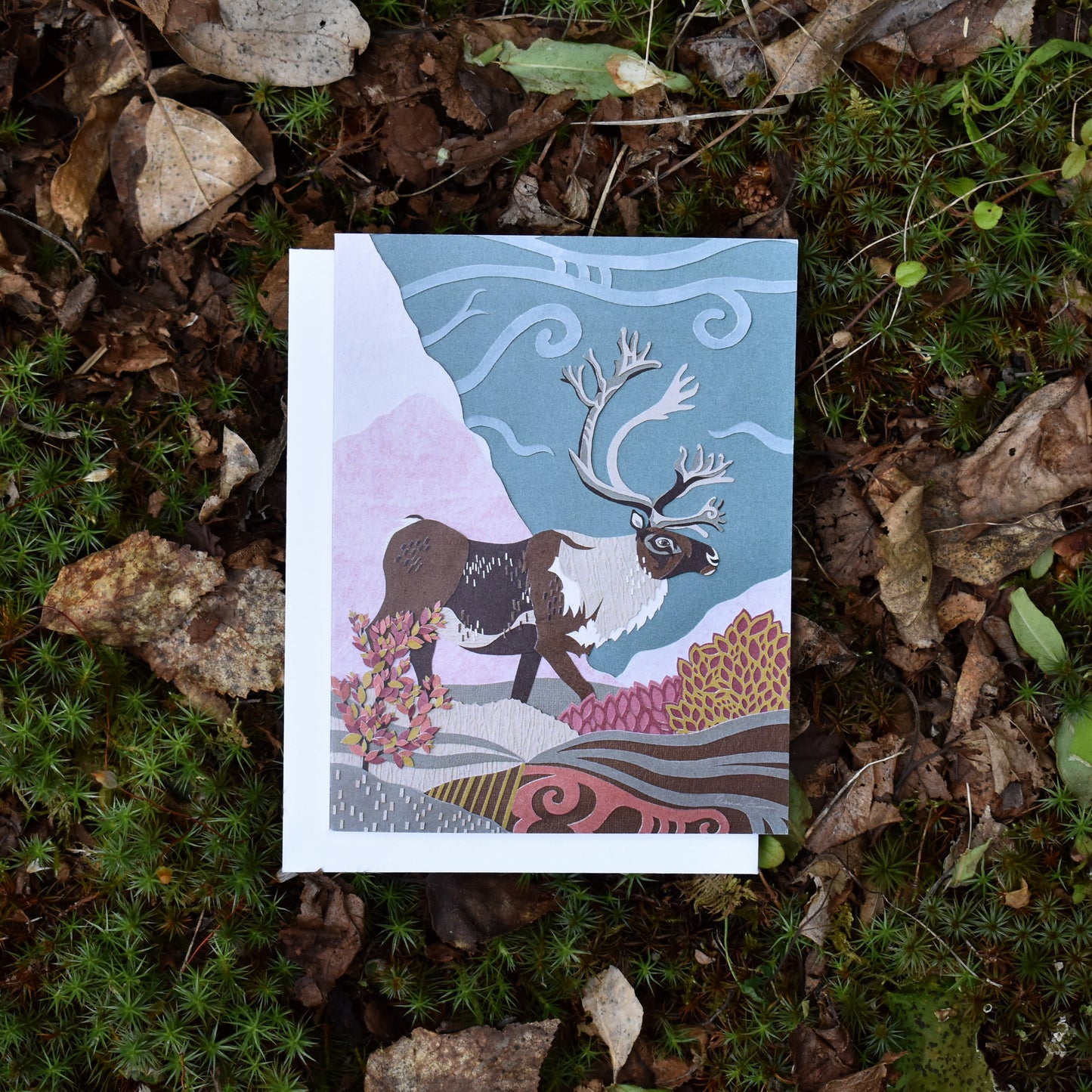 Arctic Seasons Notecard Set