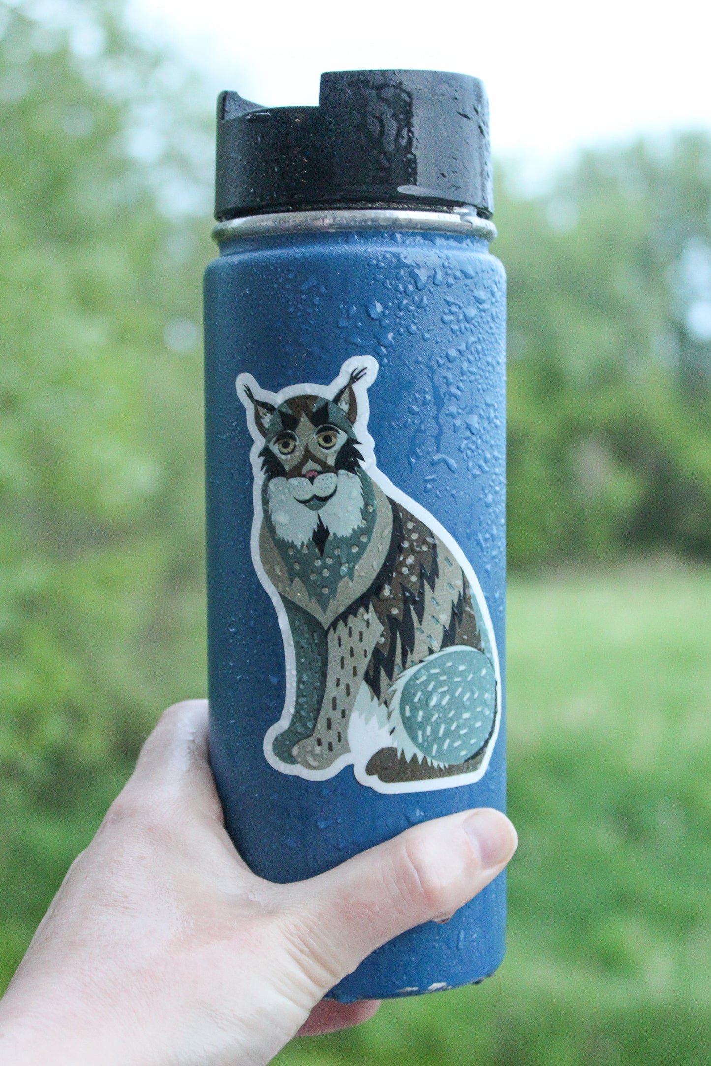 Summer Observer (Lynx) Vinyl Sticker