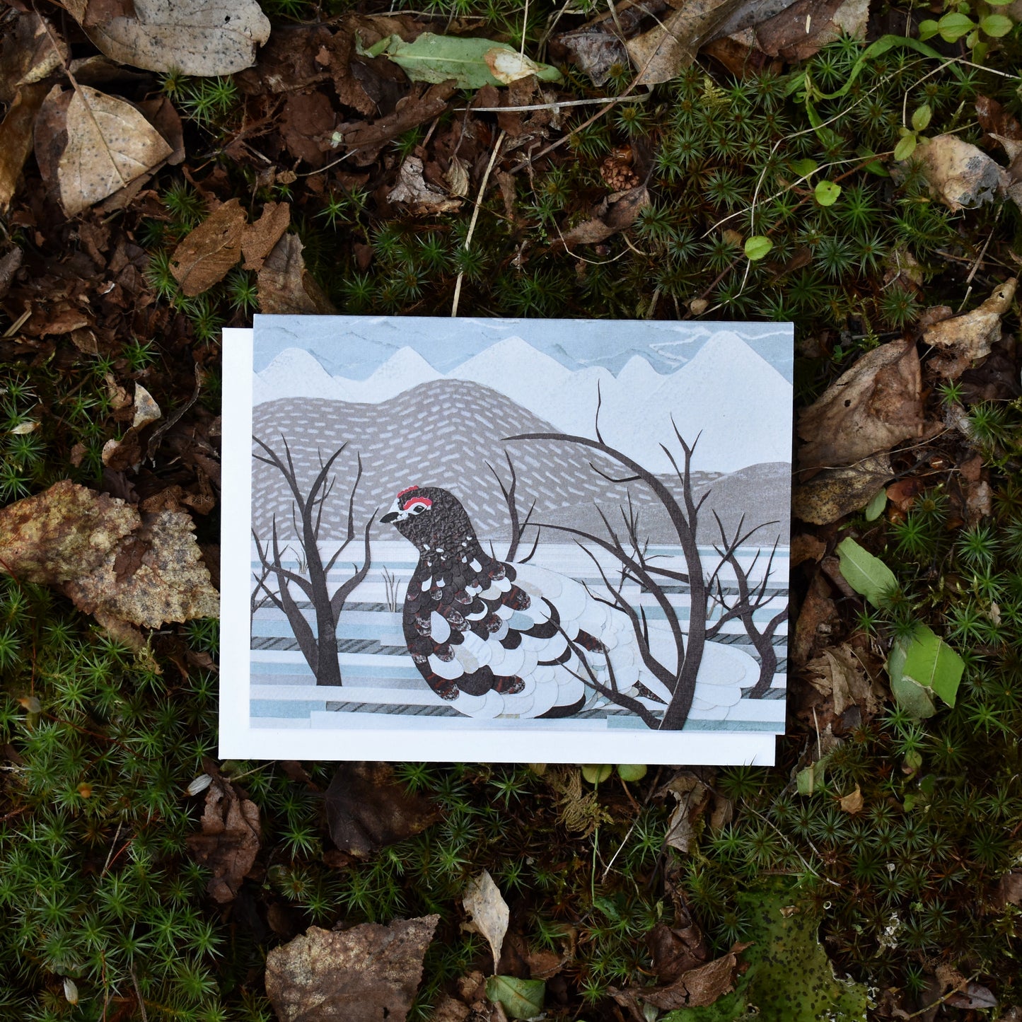 Arctic Seasons Notecard Set